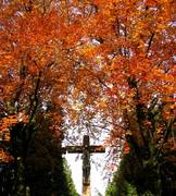 Laubbaum im Herbst und Kreuz darunter