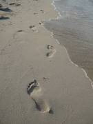 Fußspuren auf feinem, nassen Sand