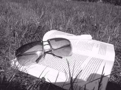 Buch mit Sonnenbrille auf Wiese