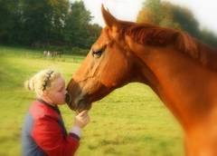 kleines Mädchen küsst Pferd