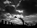 Stacheldrahtzaun mit Lampe und düsteren Wolken in schwarz/weiß. Dieses Bild entstand am 10.11.2006 im ehemaligen Konzentrationslager Auschwitz/Birkenau.