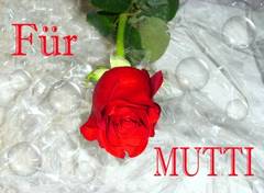 kitschige rote Rose mit dem Schriftzug "Für Mutti"